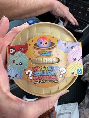 Mystery Squishy Dumpling - Gold